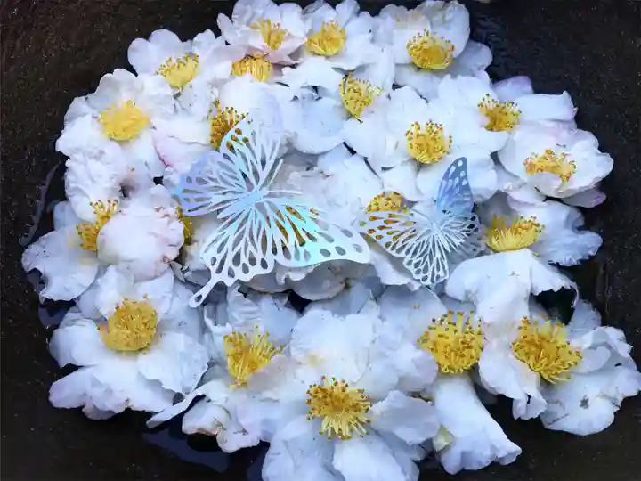 真言宗 善通寺派 薬王寺(香川県)