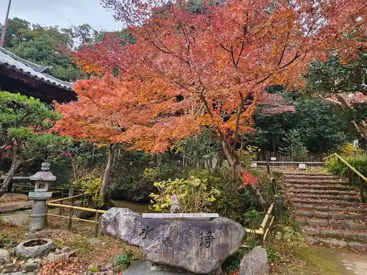白毫寺(奈良県)