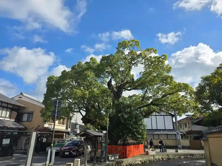 藤木社(賀茂別雷神社末社)(京都府)
