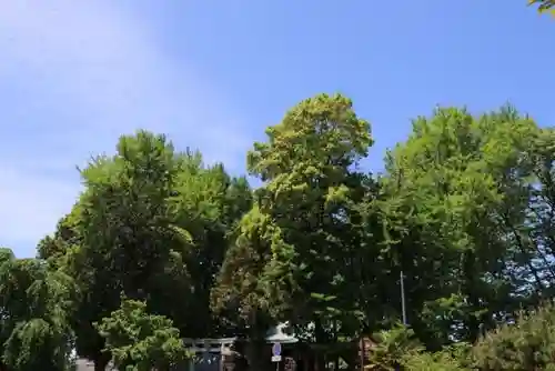 熊野福藏神社の自然
