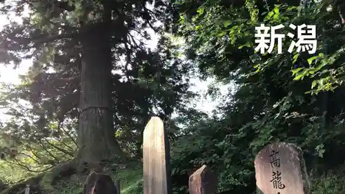 高龍神社のその他建物