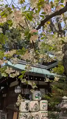 白峯神宮(京都府)