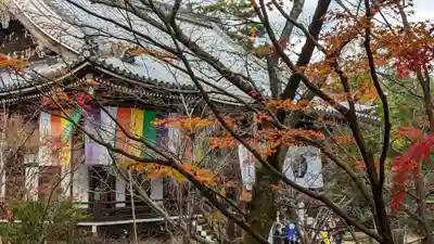 光明寺（粟生光明寺）(京都府)