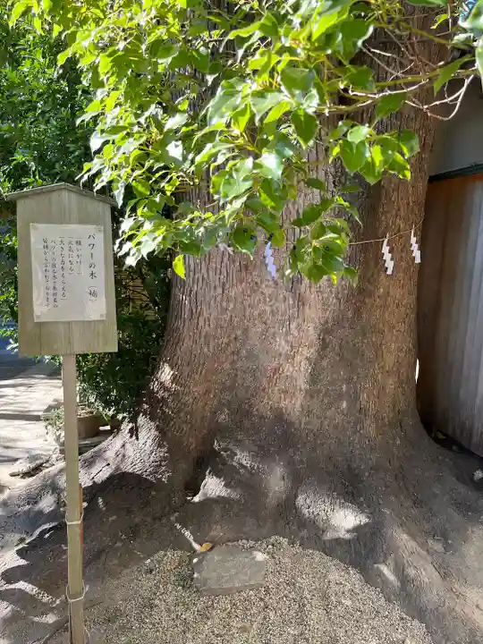 菅生神社(愛知県)