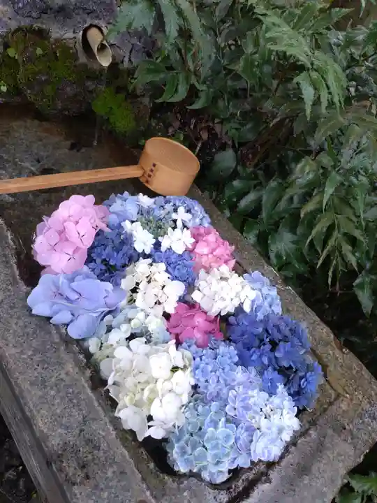 本郷氷川神社(東京都)