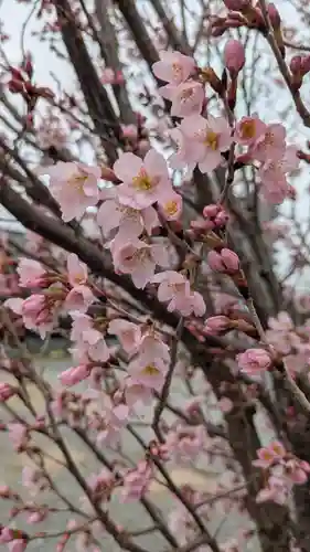 本法寺(京都府)