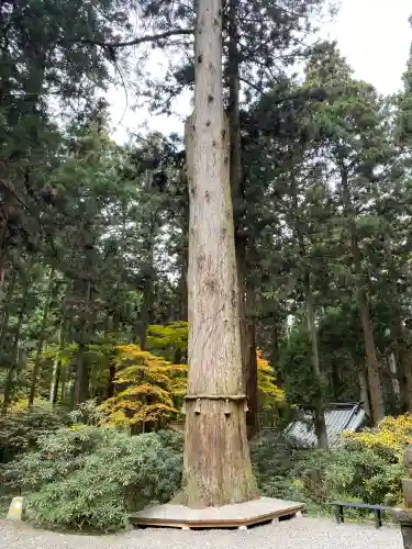 御岩神社(茨城県)