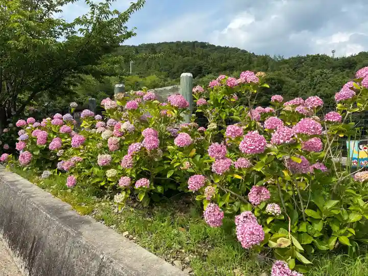 熊谷寺(徳島県)