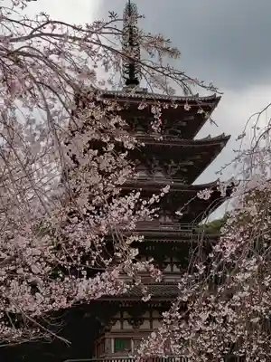 醍醐寺(京都府)