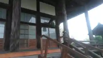 正行寺の本殿・本堂