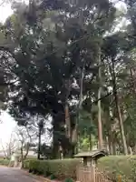 側高神社(千葉県)