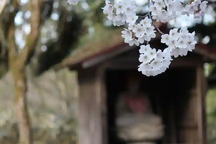 医王寺/医王寺薬師堂の自然