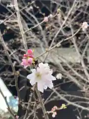 鶴林寺(兵庫県)