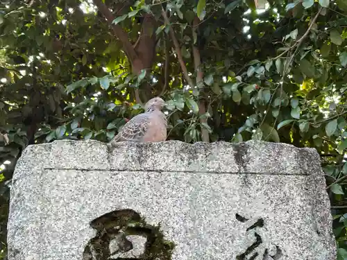 金福寺(京都府)