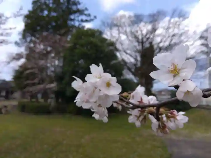 日吉神社(福井県)