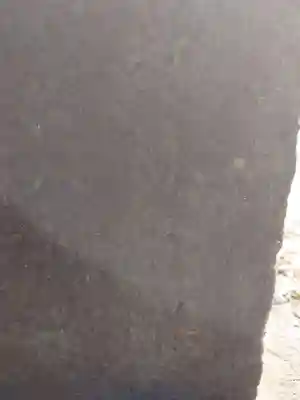 秋葉神社(埼玉県)