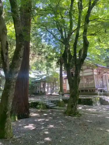 金剱宮(石川県)