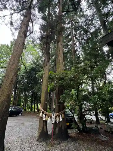 駒形神社(岩手県)