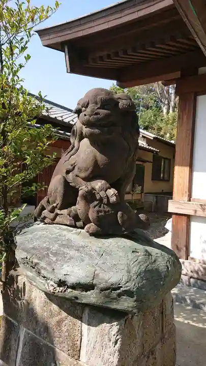 代田八幡神社の狛犬