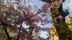 櫛田神社(福岡県)