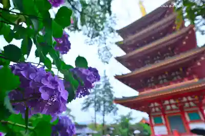 高幡不動尊　金剛寺(東京都)