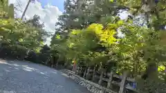 鍬山神社(京都府)