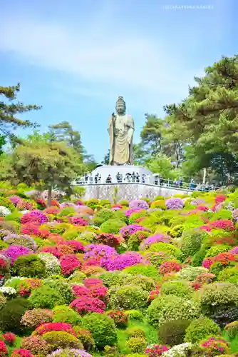 塩船観音寺(東京都)