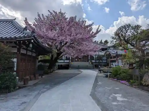 感通寺(東京都)