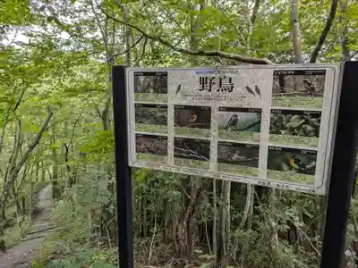 月居観音堂（月居山光明寺観音堂）(茨城県)