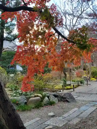 善徳寺の庭園