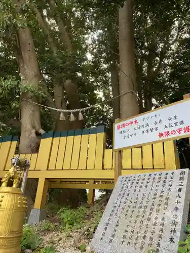 ほしいも神社(茨城県)