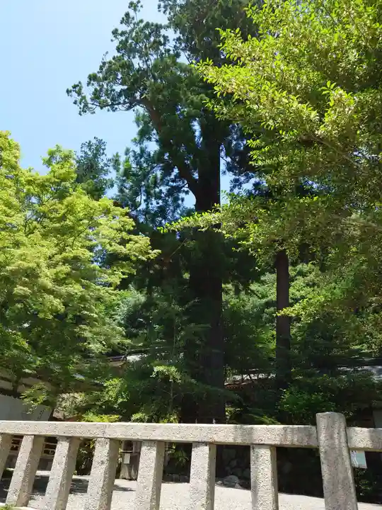 丹生川上神社(中社)(奈良県)