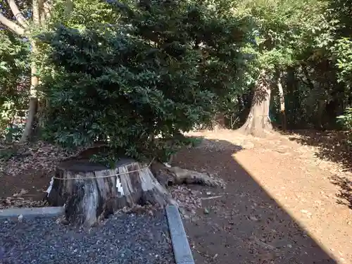下溝八幡宮(神奈川県)