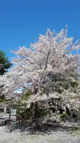 住吉神社の自然