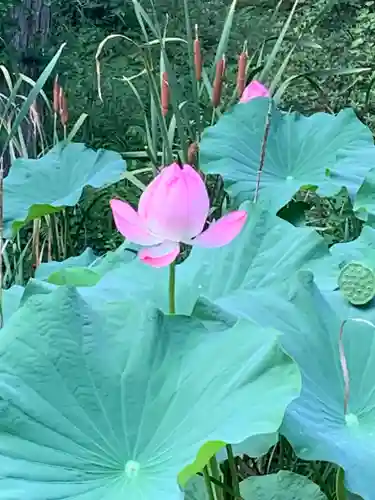 徳蔵寺(茨城県)