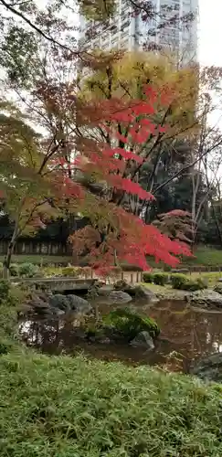 増上寺塔頭 三縁山 宝珠院の庭園