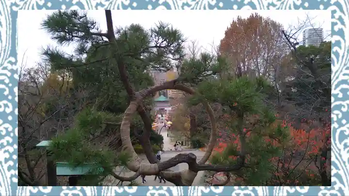 清水観音堂(東京都)