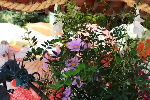 三津厳島神社(愛媛県)