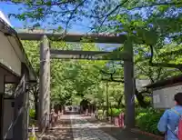 亀戸 香取神社の鳥居