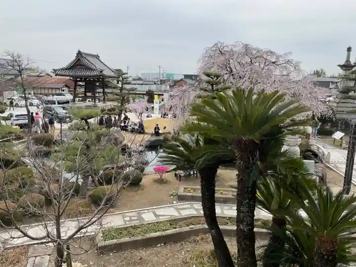 正眼寺(愛知県)