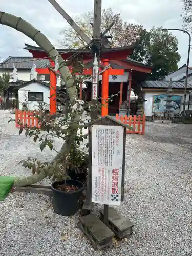 秩父今宮神社(埼玉県)