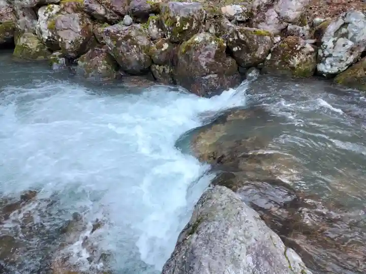 白石神社(若狭彦神社境外末社)の{uncategorized: "未分類", other: "その他", undefined: "問題あり", building: "その他建物", grave: "お墓", sacred_gate: "鳥居", guardian: "狛犬", statue: "像", buddha: "仏像", history: "歴史", nature: "自然", garden: "庭園", animal: "動物", pagoda: "塔", temizu: "手水舎", mountain_gate: "山門・神門", sanctuary: "本殿・本堂", subordinate: "末社・摂社", art: "芸術", scenery: "景色", jizo: "地蔵", ema: "絵馬", goshuin: "御朱印", omikuji: "おみくじ", items: "授与品その他", amulet: "お守り", goshuincho: "御朱印帳", eats: "食事", festival: "お祭り", votive_dance: "神楽", shichigosan: "七五三参", wedding: "結婚式", experience: "体験その他", initially: "初詣", around: "周辺", anti_infection: "感染症対策"}