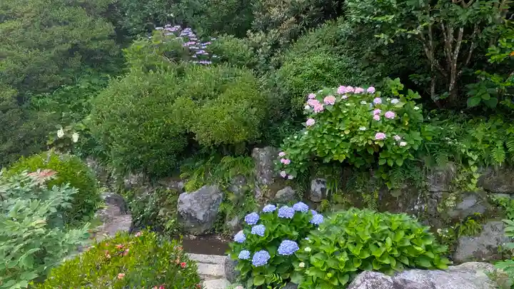 岡寺(龍蓋寺)(奈良県)
