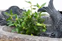 三津厳島神社の手水舎