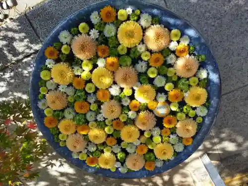 行田八幡神社の手水舎
