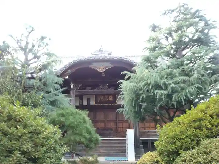 蓮光院(東京都)
