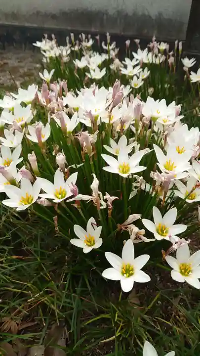 龍造寺八幡宮の自然