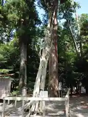 渭伊神社(静岡県)