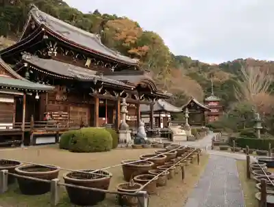 三室戸寺の本殿・本堂