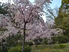 平安神宮(京都府)